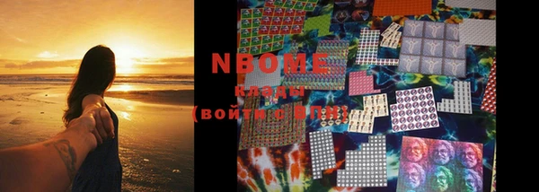 хмурый Осинники