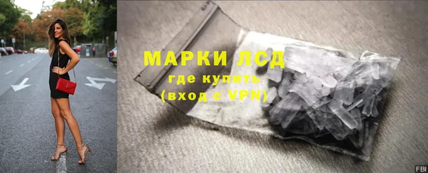 хмурый Осинники