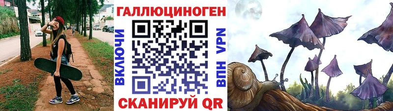 Галлюциногенные грибы Magic Shrooms  Купить где  Отрадная 